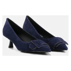 Altair Pumps