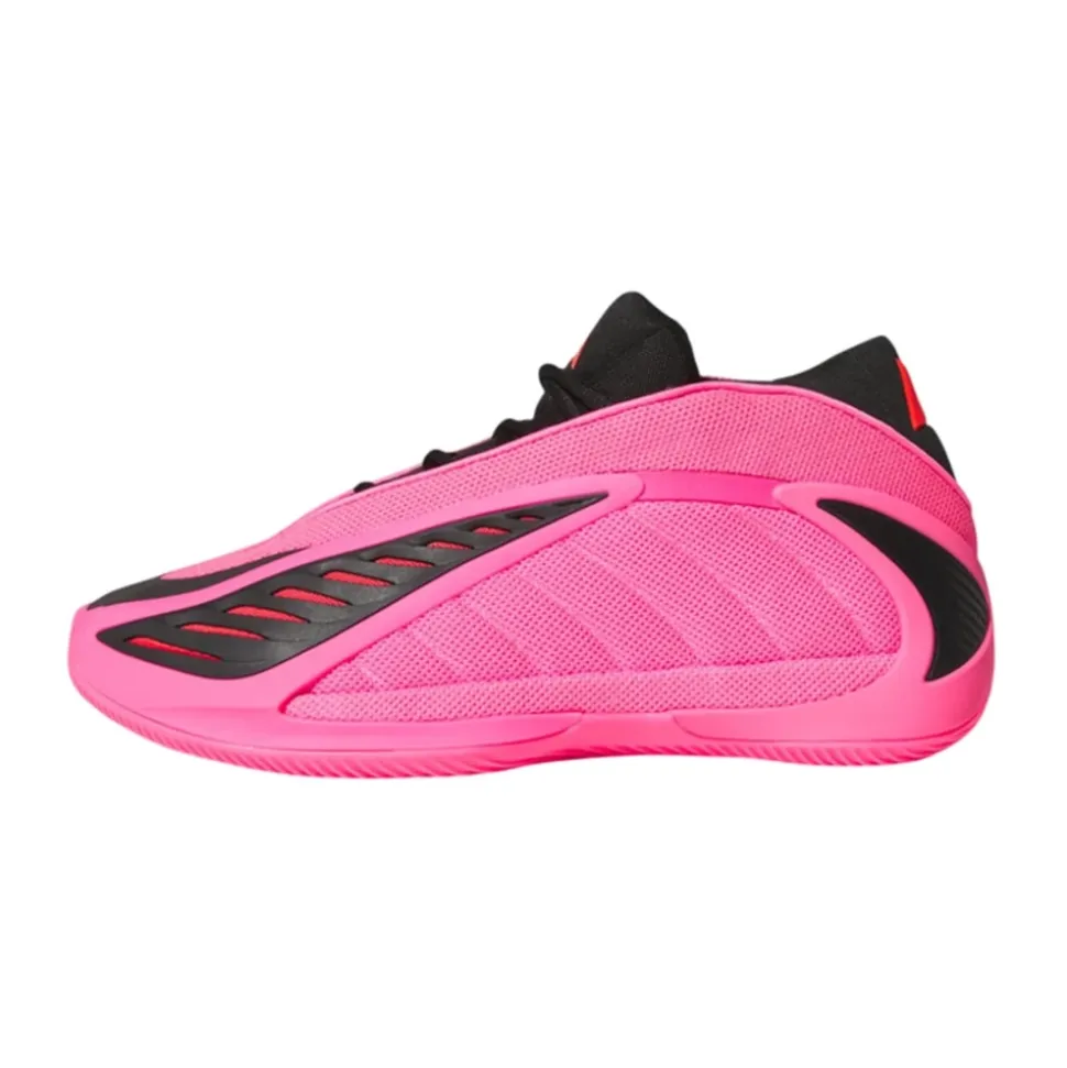 Anthony Edwards 2