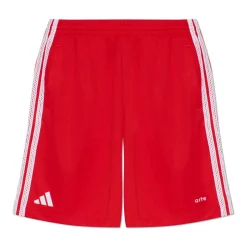 Antwerp Shorts