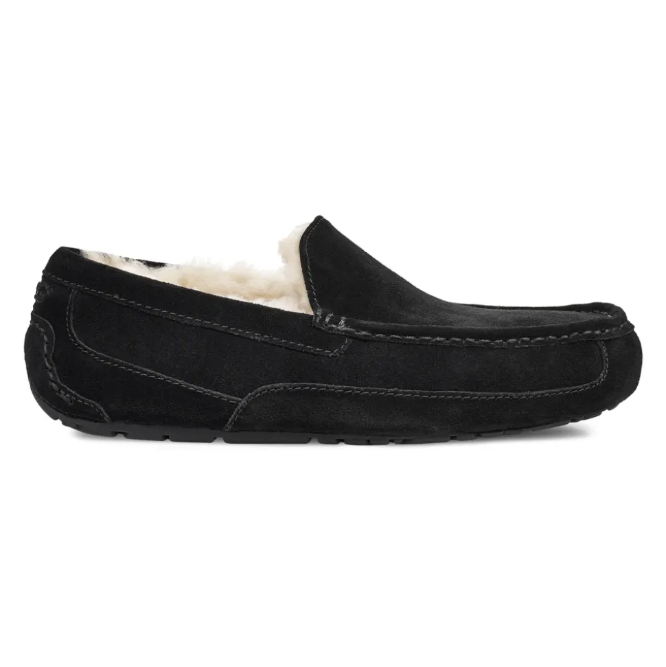 Ascot Hausschuhe Black