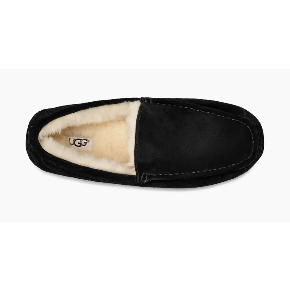 Ascot Hausschuhe Black