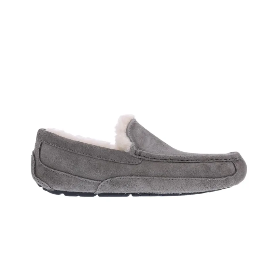 Ascot Slipper