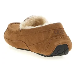 Ascot Slipper