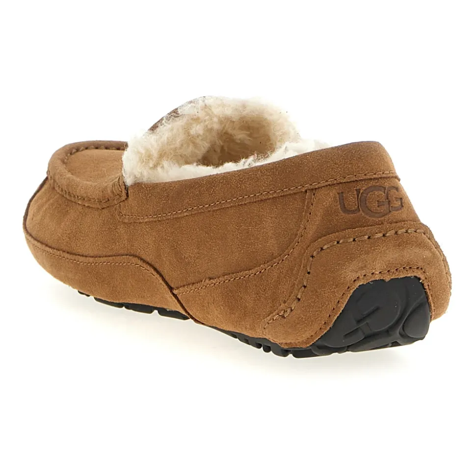 Ascot Slipper
