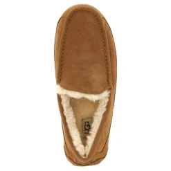 Ascot Slipper