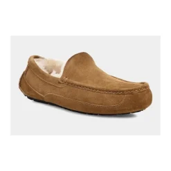Ascot Slipper