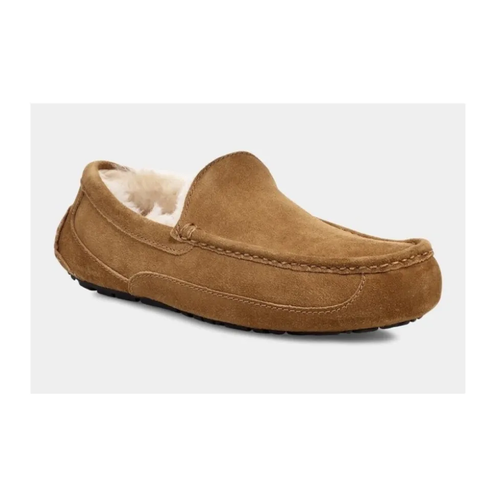 Ascot Slipper