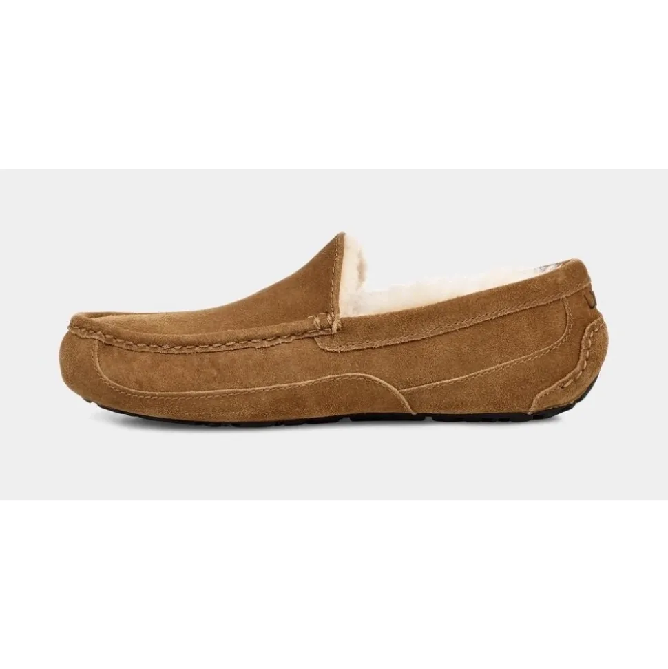 Ascot Slipper