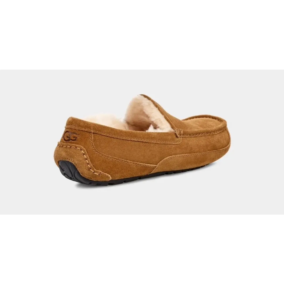Ascot Slipper