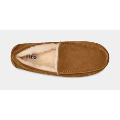 Ascot Slipper