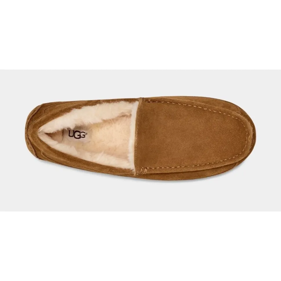 Ascot Slipper
