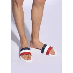 Basile Slides