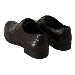 Broques Oxford Wingip