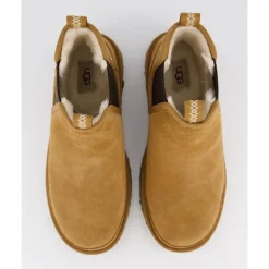 Chelsea Chestnut Damen Stiefel