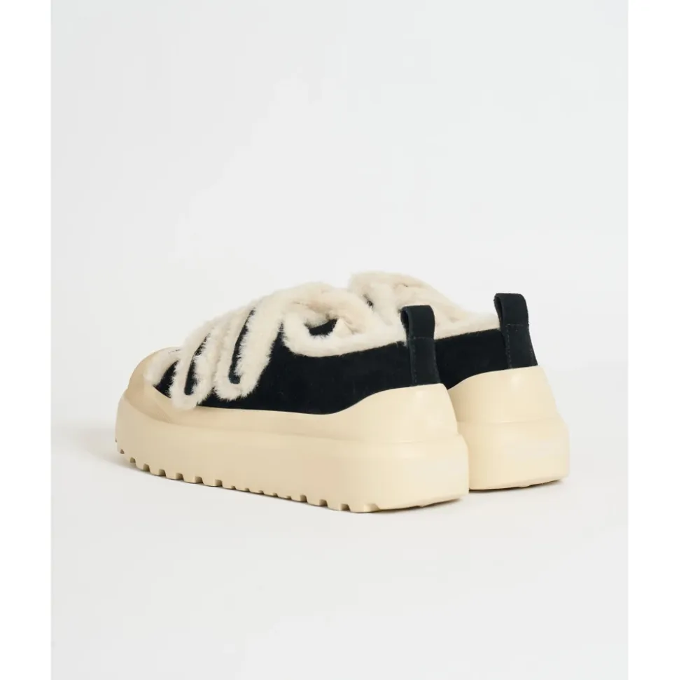 Colors of California Sneakers Schwarz
