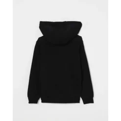 Compass Logo Hoodie