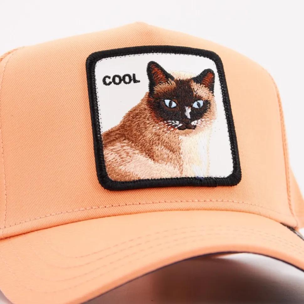 Cool Cat Hüte Mützen