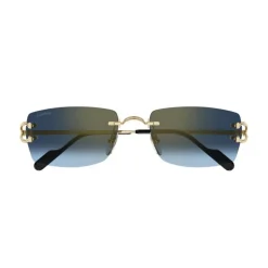 CT0550S 002 Sonnenbrille