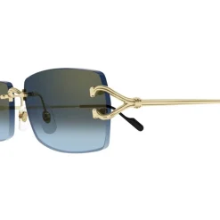 CT0550S 002 Sonnenbrille