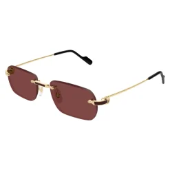 CT0498S 002 Sunglasses