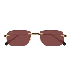 CT0498S 002 Sunglasses