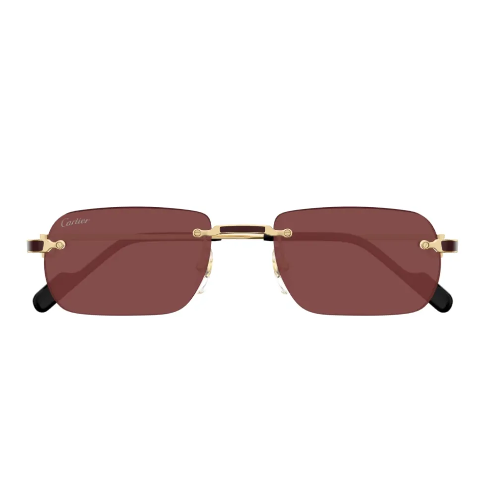 CT0498S 002 Sunglasses