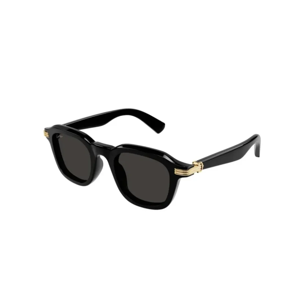 CT0536S 001 Sunglasses