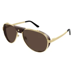 CT0296S 005 Sunglasses