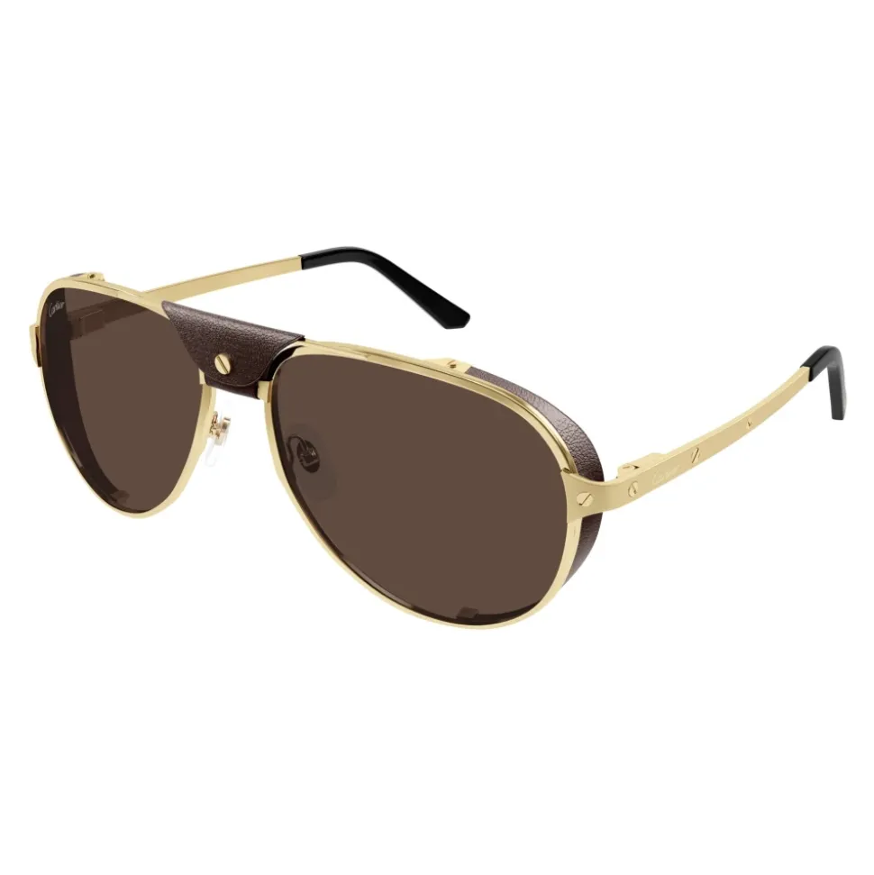 CT0296S 005 Sunglasses