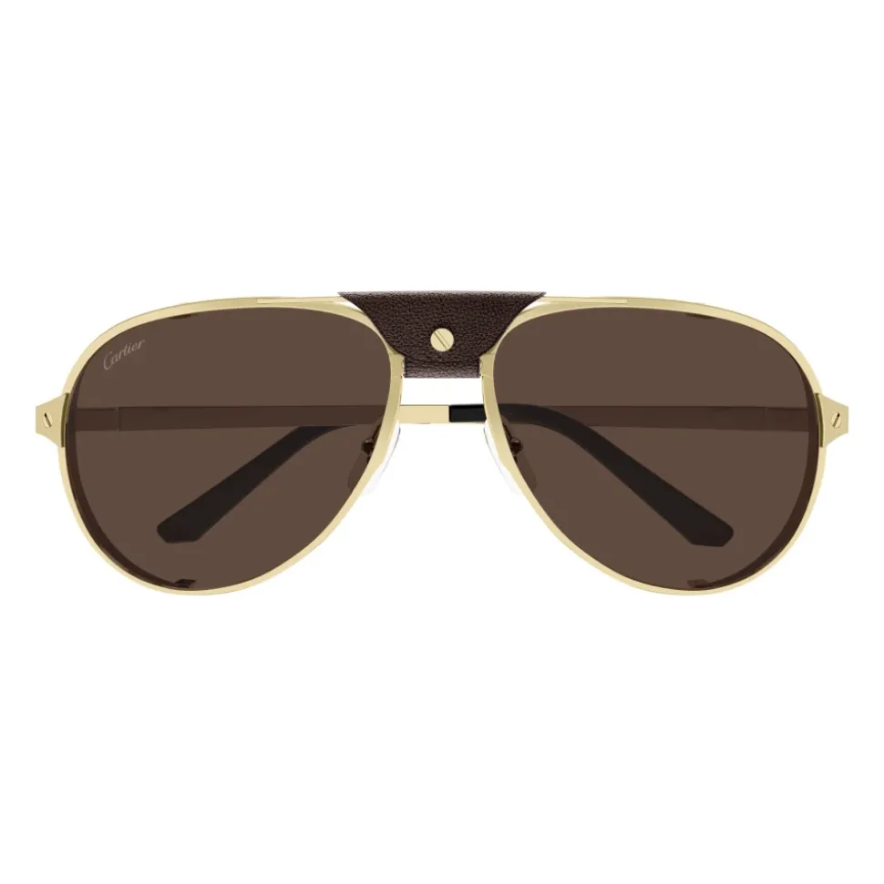 CT0296S 005 Sunglasses