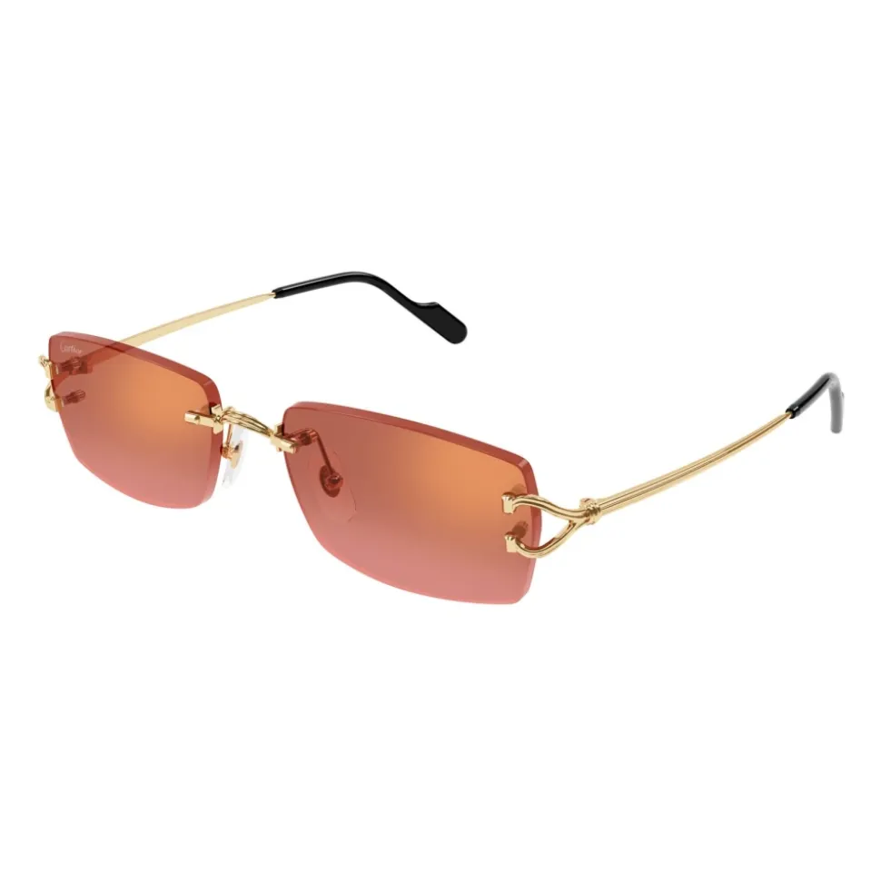 CT0550S Rechteckige Sonnenbrille