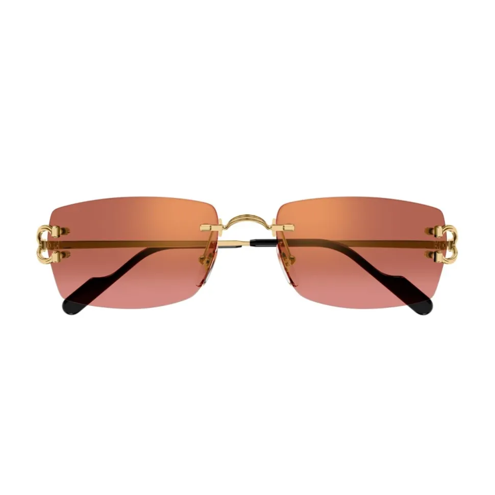CT0550S Rechteckige Sonnenbrille