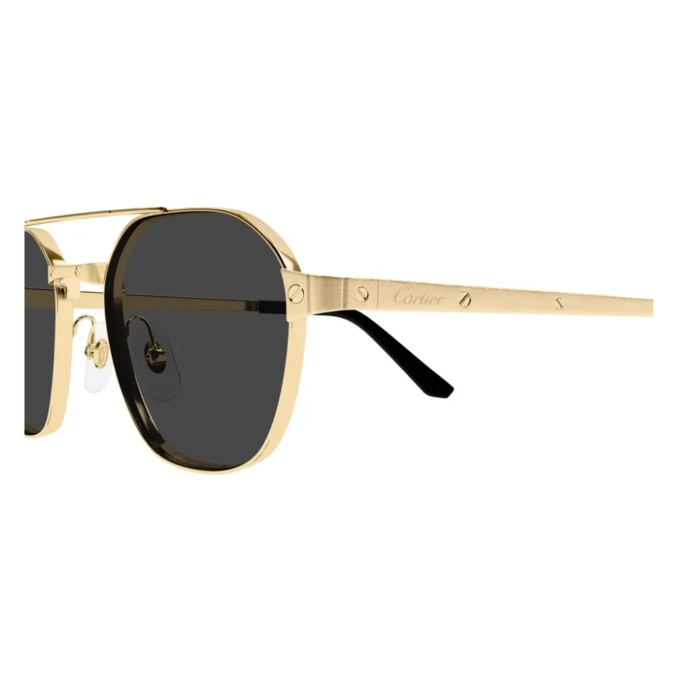 CT0571S Sonnenbrille