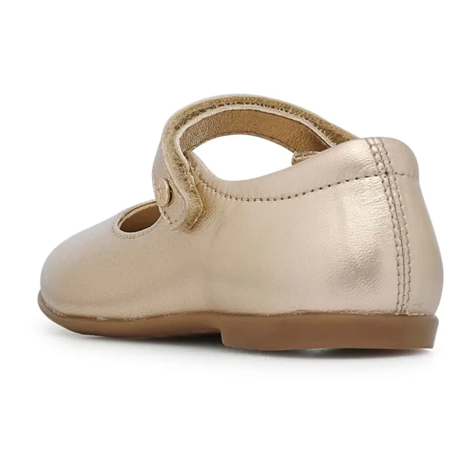 Darling Ballerinas