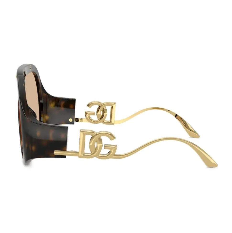 DG6202 50293 Sunglasses