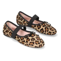 Elegant Ballet Flats