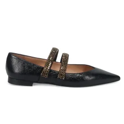 Eleganter Spitzer Schwarzer Schuh