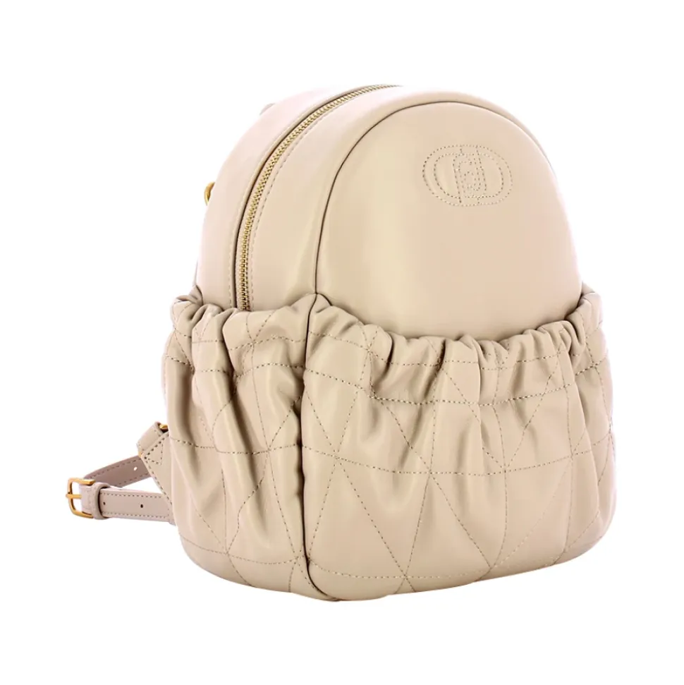 Eleganter Taubengrauer Rucksack