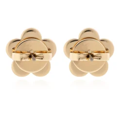 Forget Me Not Ohrstecker