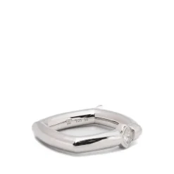 Frame Ring