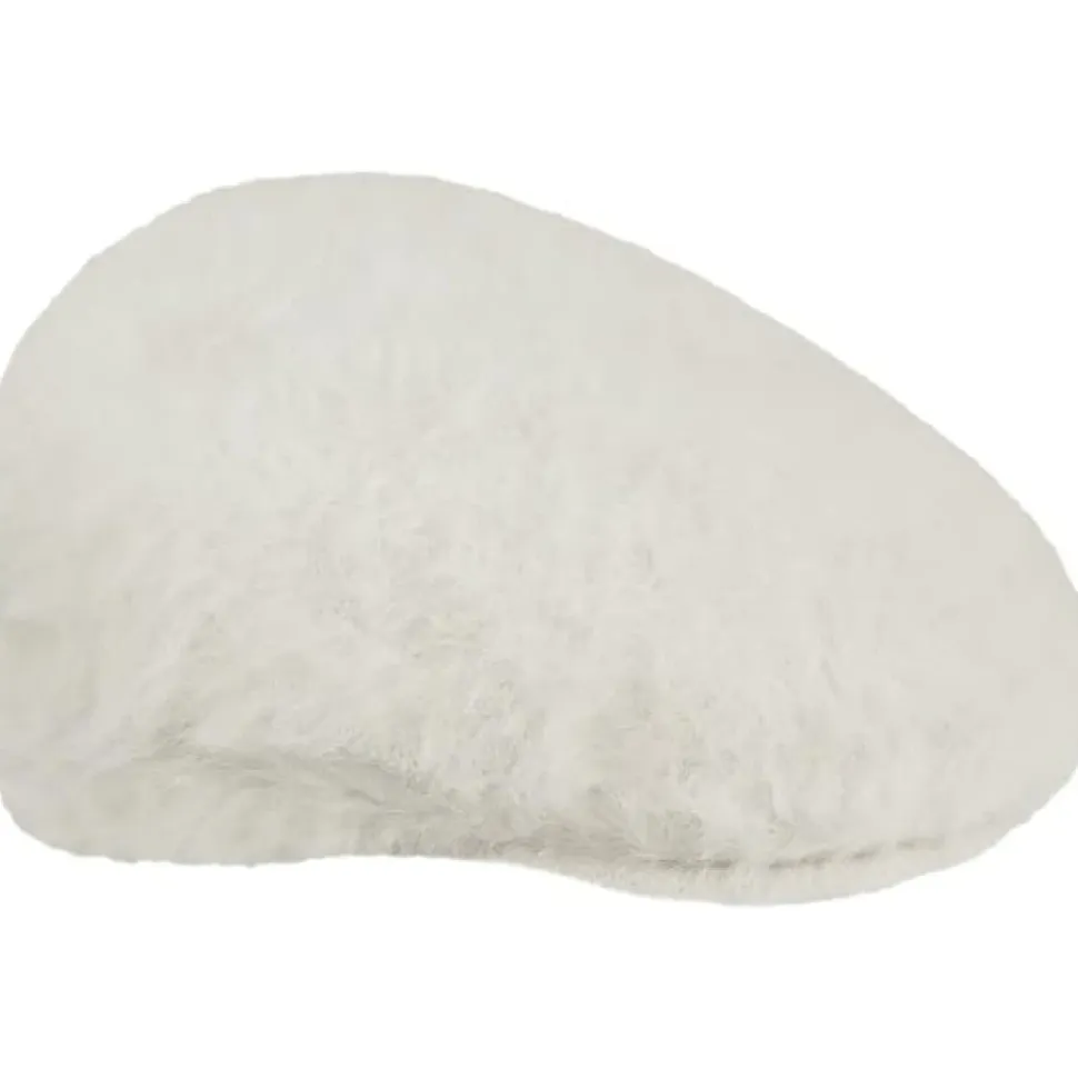 Furgora 504