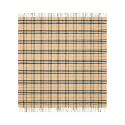 General Accessory Burberry
