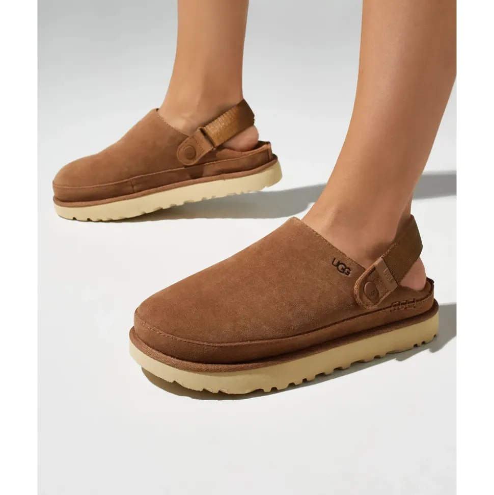 Goldenstar Clog