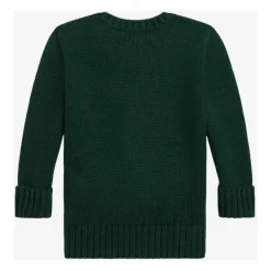 Grüner Baumwollpullover Polo Bear Stickerei