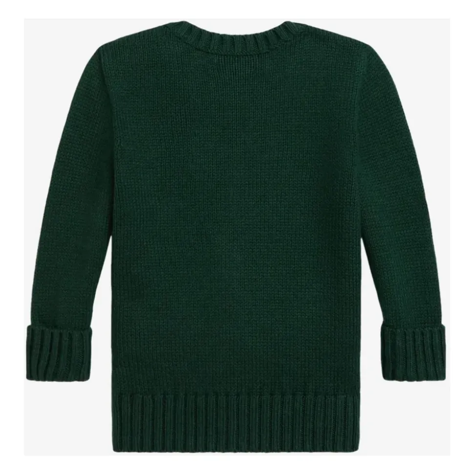 Grüner Baumwollpullover Polo Bear Stickerei