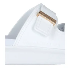 Hybrid Slides