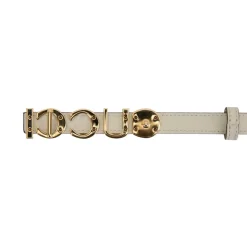 Leder Gürtel mit goldener Schnalle