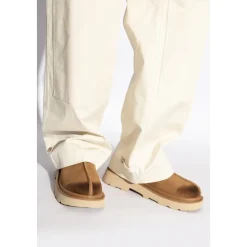 M Tasman Lug