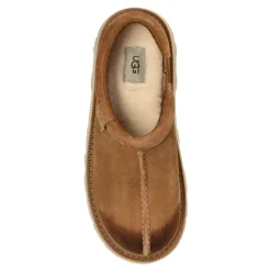 M Tasman Lug
