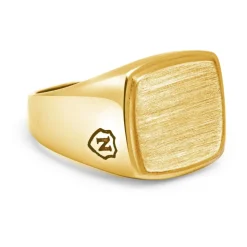 Men's Gold Plated Signet Ring with Brushed Steel